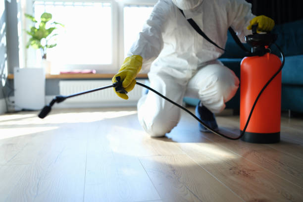 Reliable Odor Removal contractor in Gloucester, NC by Trauma Clean Pros